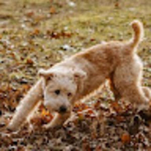 Meet your Posher, Aimee